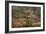 Yuang Yang-Art Wolfe-Framed Photographic Print