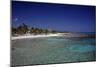 Yucatan Beach-J.D. Mcfarlan-Mounted Photographic Print