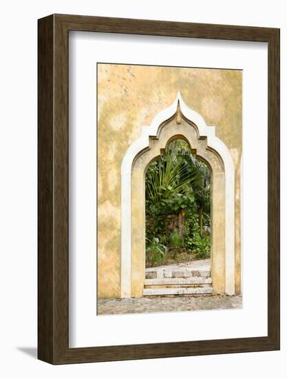 Yucatan, Mexico.-Julien McRoberts-Framed Photographic Print