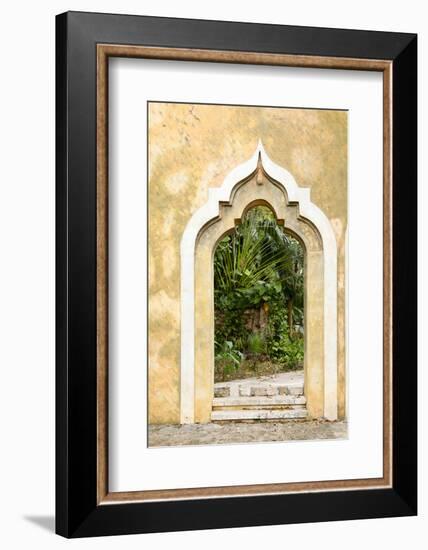 Yucatan, Mexico.-Julien McRoberts-Framed Photographic Print