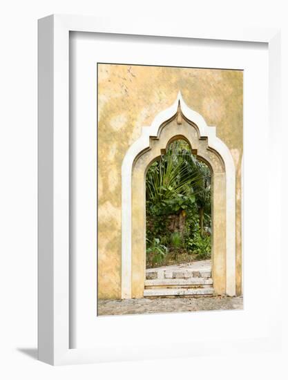 Yucatan, Mexico.-Julien McRoberts-Framed Photographic Print