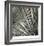 Yucca 12-Ken Bremer-Framed Limited Edition