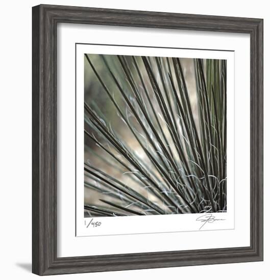 Yucca 12-Ken Bremer-Framed Limited Edition