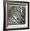 Yucca 12-Ken Bremer-Framed Limited Edition