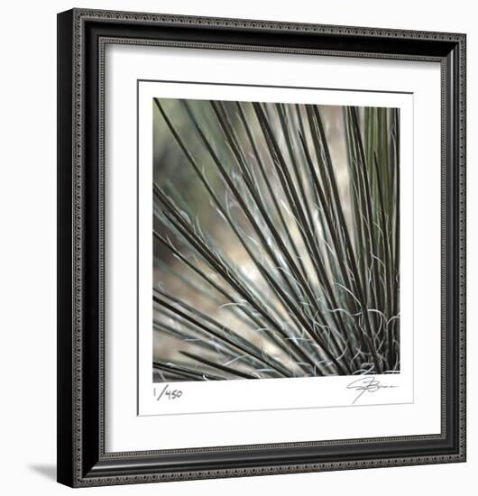 Yucca 12-Ken Bremer-Framed Limited Edition