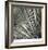 Yucca 12-Ken Bremer-Framed Limited Edition