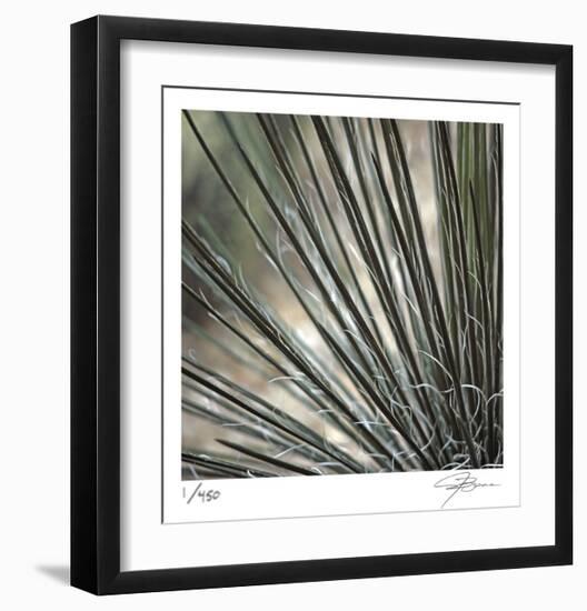 Yucca 12-Ken Bremer-Framed Limited Edition