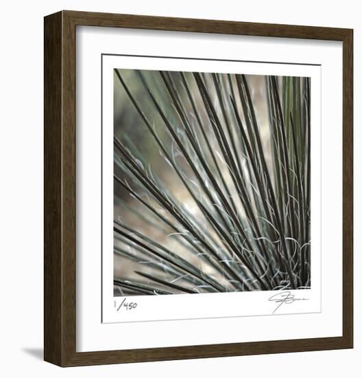 Yucca 12-Ken Bremer-Framed Limited Edition