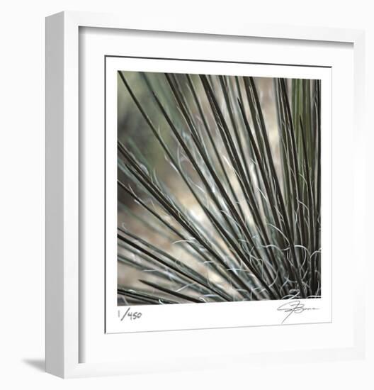 Yucca 12-Ken Bremer-Framed Limited Edition