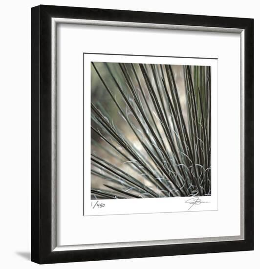 Yucca 12-Ken Bremer-Framed Limited Edition