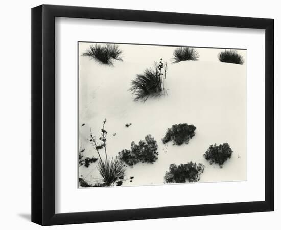 Yucca and Dunes, White Sands, 1946-Brett Weston-Framed Photographic Print