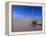 Yucca and Dunes, White Sands National Monument-Kevin Schafer-Framed Premier Image Canvas