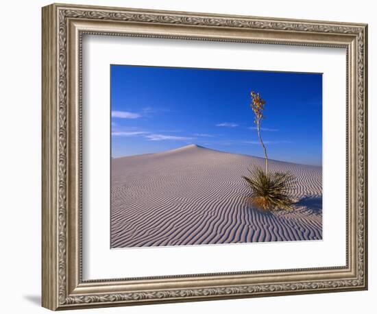 Yucca and Dunes, White Sands National Monument-Kevin Schafer-Framed Photographic Print