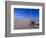 Yucca and Dunes, White Sands National Monument-Kevin Schafer-Framed Photographic Print