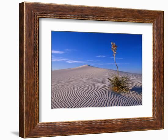 Yucca and Dunes, White Sands National Monument-Kevin Schafer-Framed Photographic Print