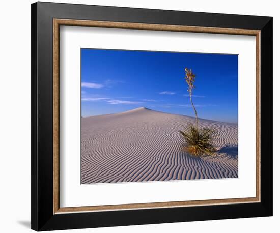 Yucca and Dunes, White Sands National Monument-Kevin Schafer-Framed Photographic Print