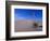 Yucca and Dunes, White Sands National Monument-Kevin Schafer-Framed Photographic Print