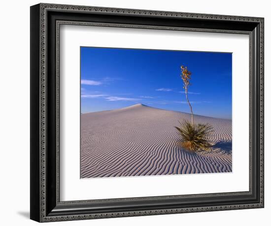 Yucca and Dunes, White Sands National Monument-Kevin Schafer-Framed Photographic Print