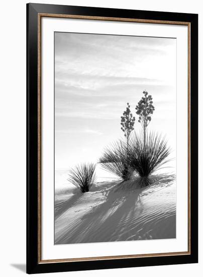 Yucca at White Sands II-Douglas Taylor-Framed Photographic Print