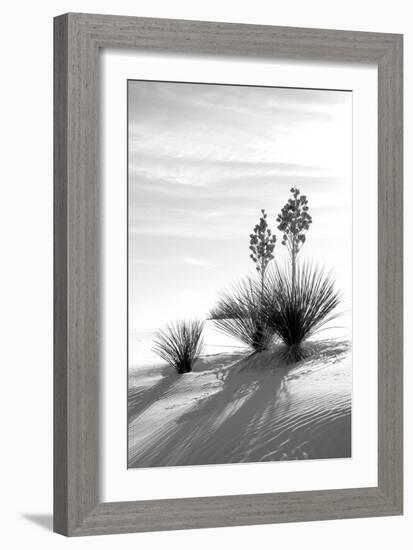 Yucca at White Sands II-Douglas Taylor-Framed Photographic Print