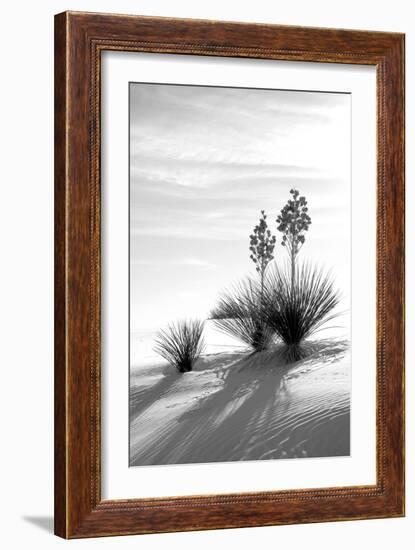 Yucca at White Sands II-Douglas Taylor-Framed Photographic Print