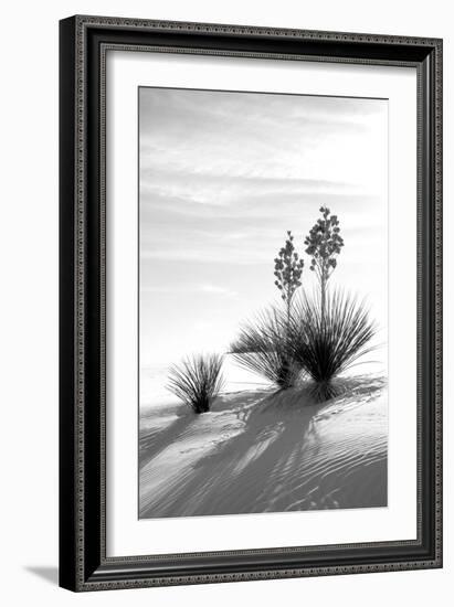 Yucca at White Sands II-Douglas Taylor-Framed Photographic Print