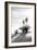 Yucca at White Sands II-Douglas Taylor-Framed Photographic Print