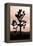 Yucca Brevifolia II-Erin Berzel-Framed Premier Image Canvas