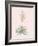 Yucca Filamentosa - Rose-Pierre Joseph Redoute-Framed Giclee Print