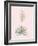 Yucca Filamentosa - Rose-Pierre Joseph Redoute-Framed Giclee Print