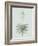 Yucca Gloriosa - Celadon-Pierre Joseph Redoute-Framed Giclee Print