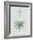 Yucca Gloriosa - Celadon-Pierre Joseph Redoute-Framed Giclee Print