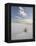 Yucca Growing in Rippled Sand, White Sands National Monument, New Mexico, USA-James Hager-Framed Premier Image Canvas