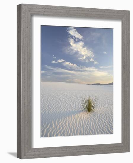 Yucca Growing in Rippled Sand, White Sands National Monument, New Mexico, USA-James Hager-Framed Photographic Print