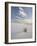 Yucca Growing in Rippled Sand, White Sands National Monument, New Mexico, USA-James Hager-Framed Photographic Print