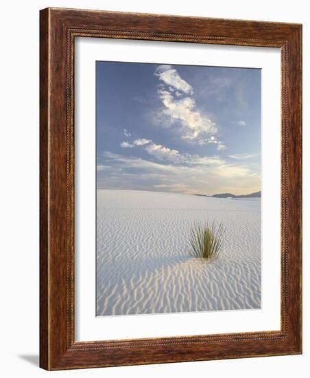 Yucca Growing in Rippled Sand, White Sands National Monument, New Mexico, USA-James Hager-Framed Photographic Print