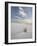 Yucca Growing in Rippled Sand, White Sands National Monument, New Mexico, USA-James Hager-Framed Photographic Print