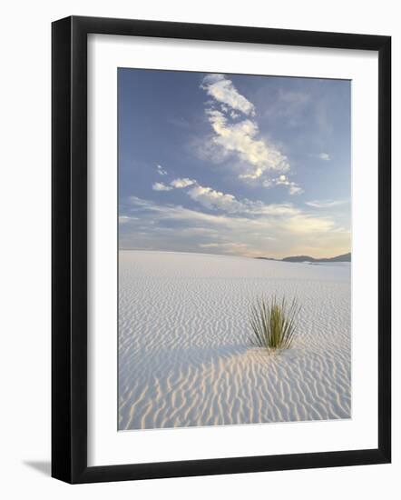 Yucca Growing in Rippled Sand, White Sands National Monument, New Mexico, USA-James Hager-Framed Photographic Print