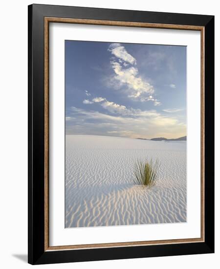 Yucca Growing in Rippled Sand, White Sands National Monument, New Mexico, USA-James Hager-Framed Photographic Print