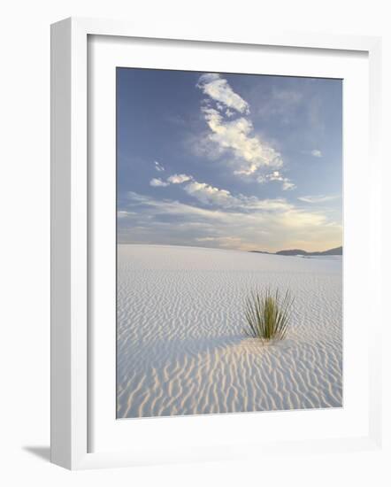 Yucca Growing in Rippled Sand, White Sands National Monument, New Mexico, USA-James Hager-Framed Photographic Print