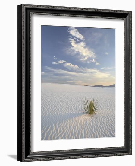 Yucca Growing in Rippled Sand, White Sands National Monument, New Mexico, USA-James Hager-Framed Photographic Print