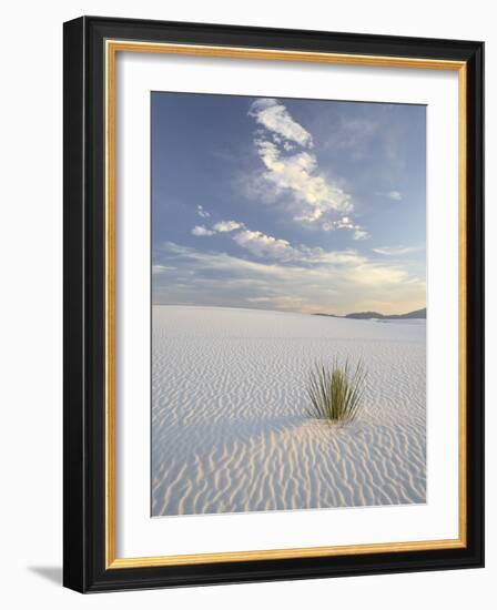 Yucca Growing in Rippled Sand, White Sands National Monument, New Mexico, USA-James Hager-Framed Photographic Print