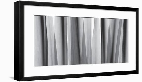 Yucca Leaves-Steven N^ Meyers-Framed Art Print