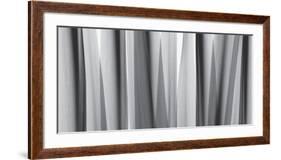 Yucca Leaves-Steven N^ Meyers-Framed Art Print