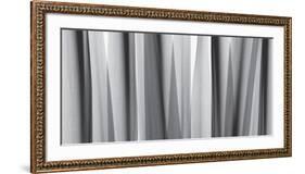 Yucca Leaves-Steven N^ Meyers-Framed Art Print