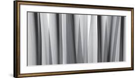 Yucca Leaves-Steven N^ Meyers-Framed Art Print