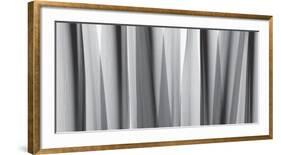 Yucca Leaves-Steven N^ Meyers-Framed Art Print