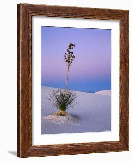 Yucca on Dunes at Dusk, Heart of the Dunes, White Sands National Monument, New Mexico, USA-Scott T^ Smith-Framed Photographic Print