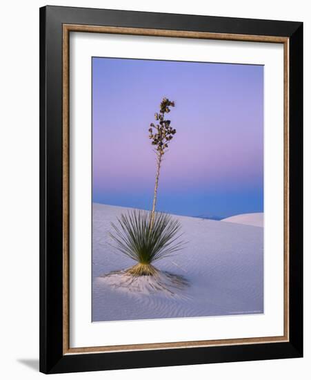 Yucca on Dunes at Dusk, Heart of the Dunes, White Sands National Monument, New Mexico, USA-Scott T^ Smith-Framed Photographic Print