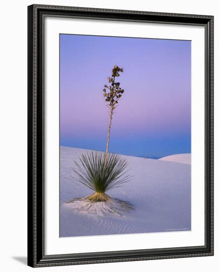 Yucca on Dunes at Dusk, Heart of the Dunes, White Sands National Monument, New Mexico, USA-Scott T^ Smith-Framed Photographic Print